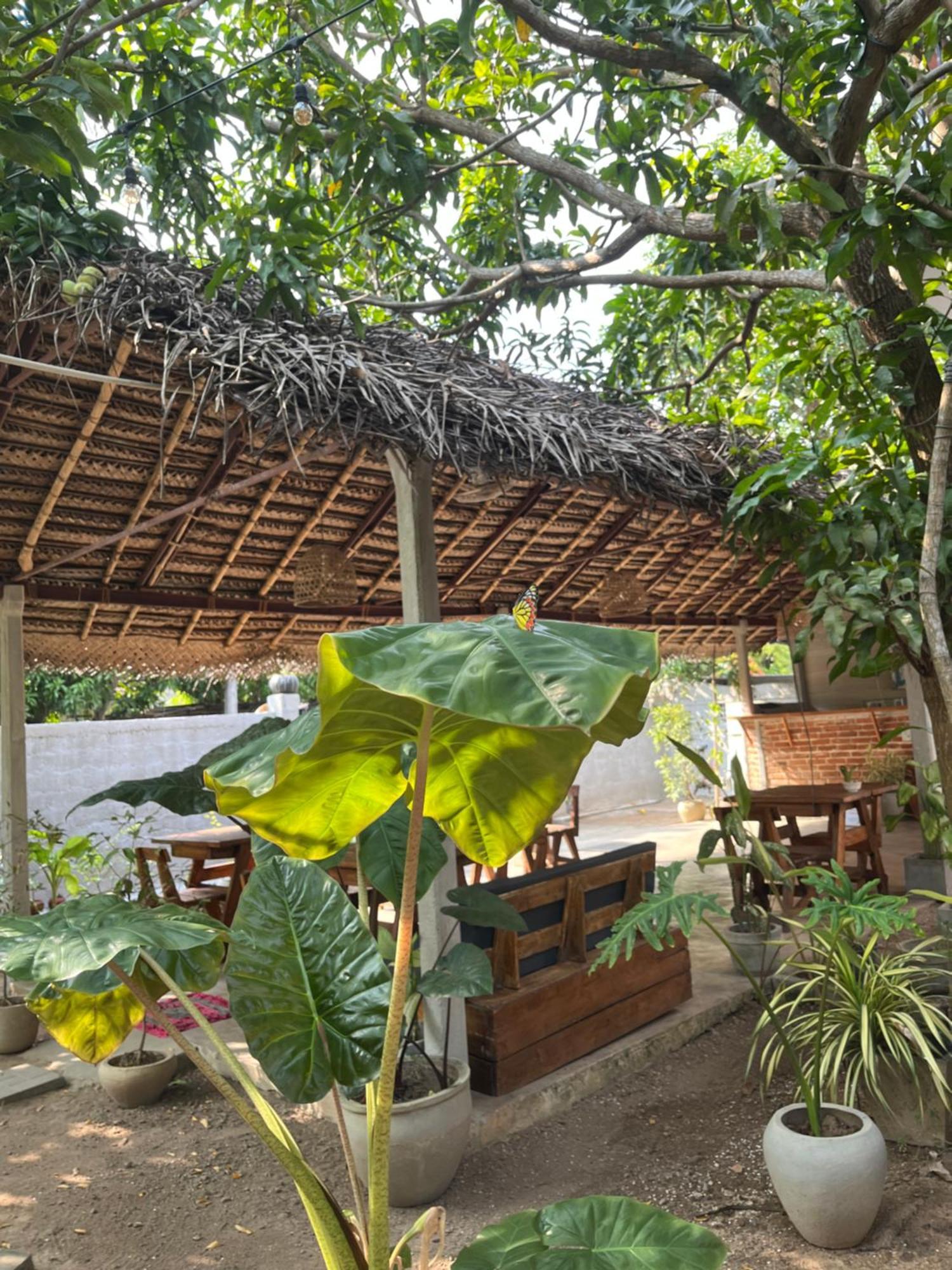Avalon Daire Weligama Dış mekan fotoğraf